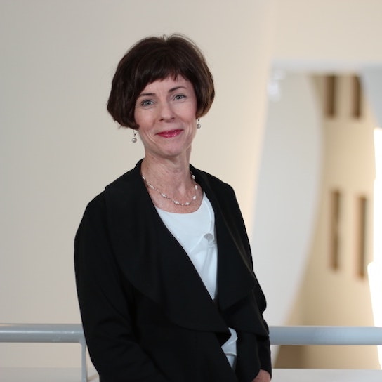 Professional headshot of CW MBA faculty member Ellen Van Oosten